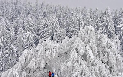Austria usuwa skutki zimy