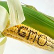 Znakowanie żywności: będzie możliwość informowaniu o braku GMO
