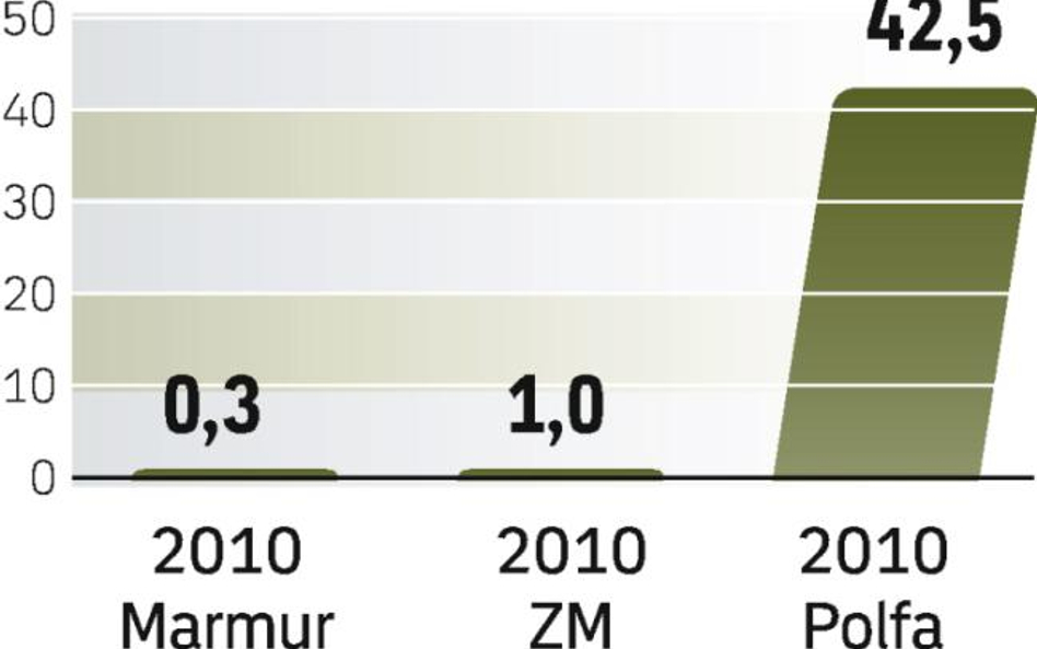 W 2009 r. firmy dostały 145 mln zł pomocy, mniej niż w 2008 r