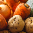 Organic Farma Zdrowia z rekordami