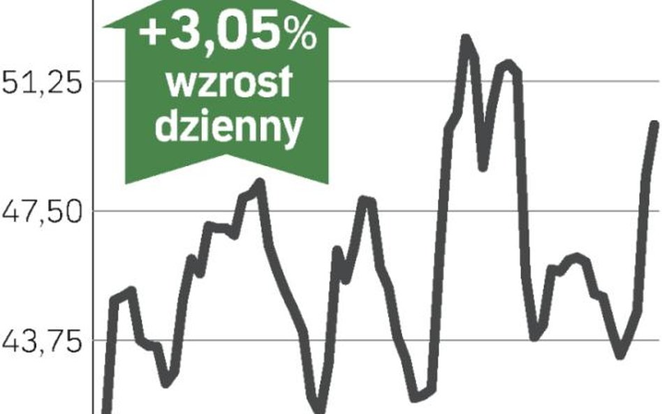 Inwestorzy liczą na kapitał z Kataru