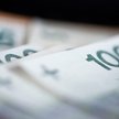RPP wróci do obniżek stóp procentowych najwcześniej w II połowie 2024 r.