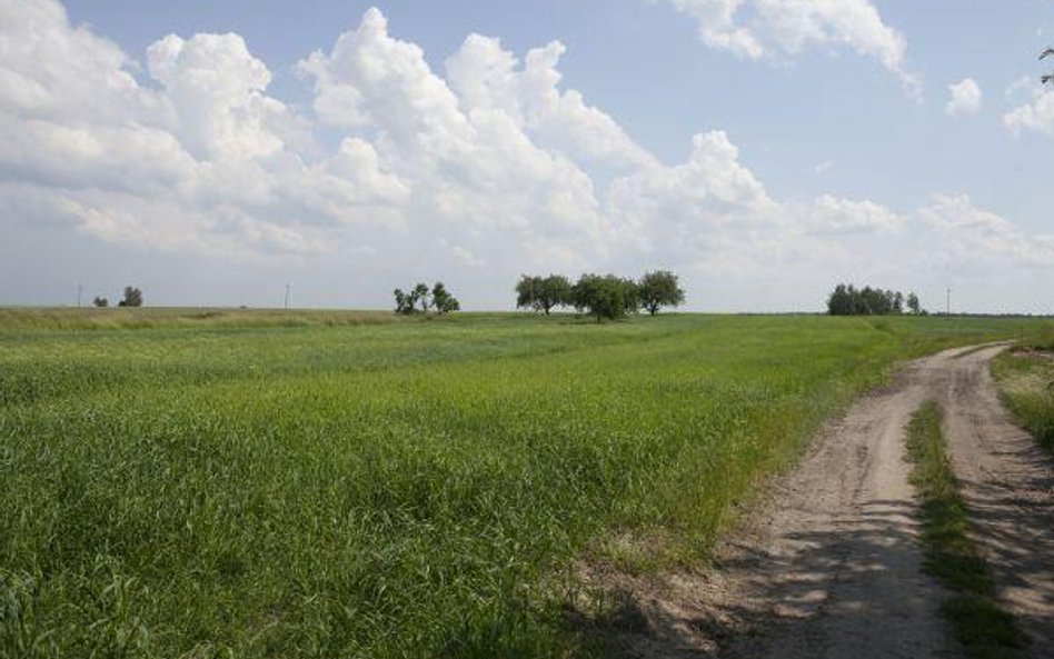 Decyzji środowiskowych nie można lekceważyć