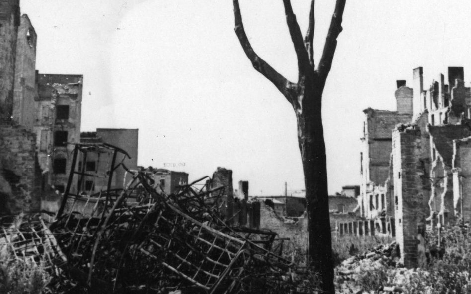 Sojusznicze siły zajęły opuszczone, straszliwie zniszczone miasto