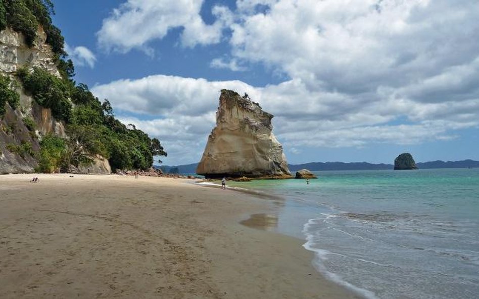 Przy plaży sterczy z oceanu Cathedral Cove, czyli samotna skała o wielkości katedry. Oderwała się od