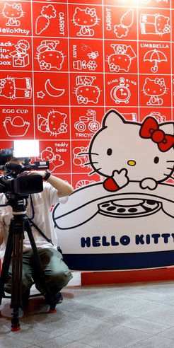 Wbrew oryginalnym intencjom twórczyni projektu, ujawniono, że bajkowa postać nazywa się Kitty White,