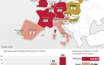 W rejestracjach aut elektrycznych jesteśmy w ogonie Europy