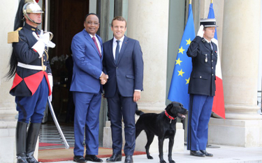 Macron kontynuuje tradycję. Pies w pałacu