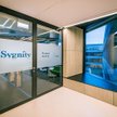 Sygnity pokazuje wyniki
