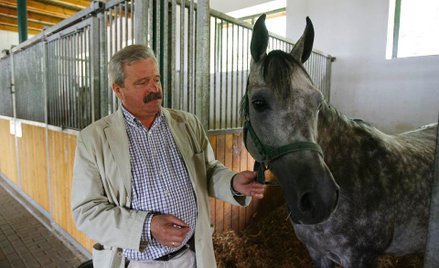 Amra to jedna ze sławnych klaczy, jakie padły w Janowie. Przyczyną śmierci był skręt jelit. Co go wy