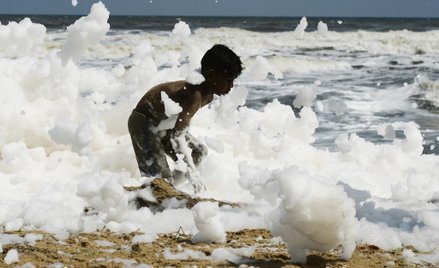 Zabawa w pianie na plaży. To niebezpieczne toksyny