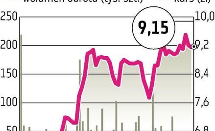 Ruch Inwestor może przejąć spółkę do połowy 2010 r.