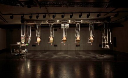 "Cloaca Professional", instalacja belgijskiego artysty Wima Delvoye (2009)