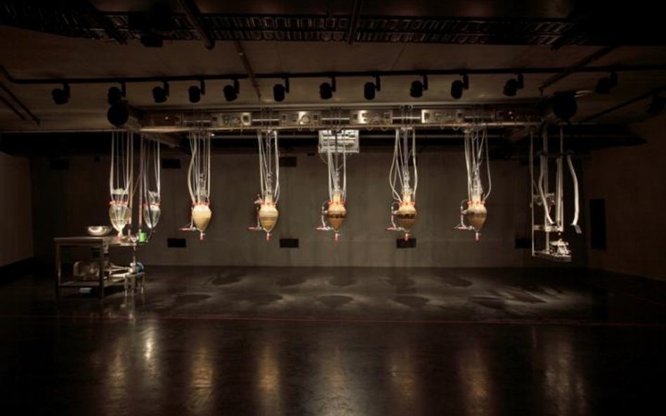 "Cloaca Professional", instalacja belgijskiego artysty Wima Delvoye (2009)