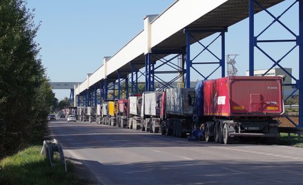 Spółki odporne na wysokie koszty wydobycia węgla