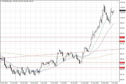 Notowania soi w USA – dane dzienne
