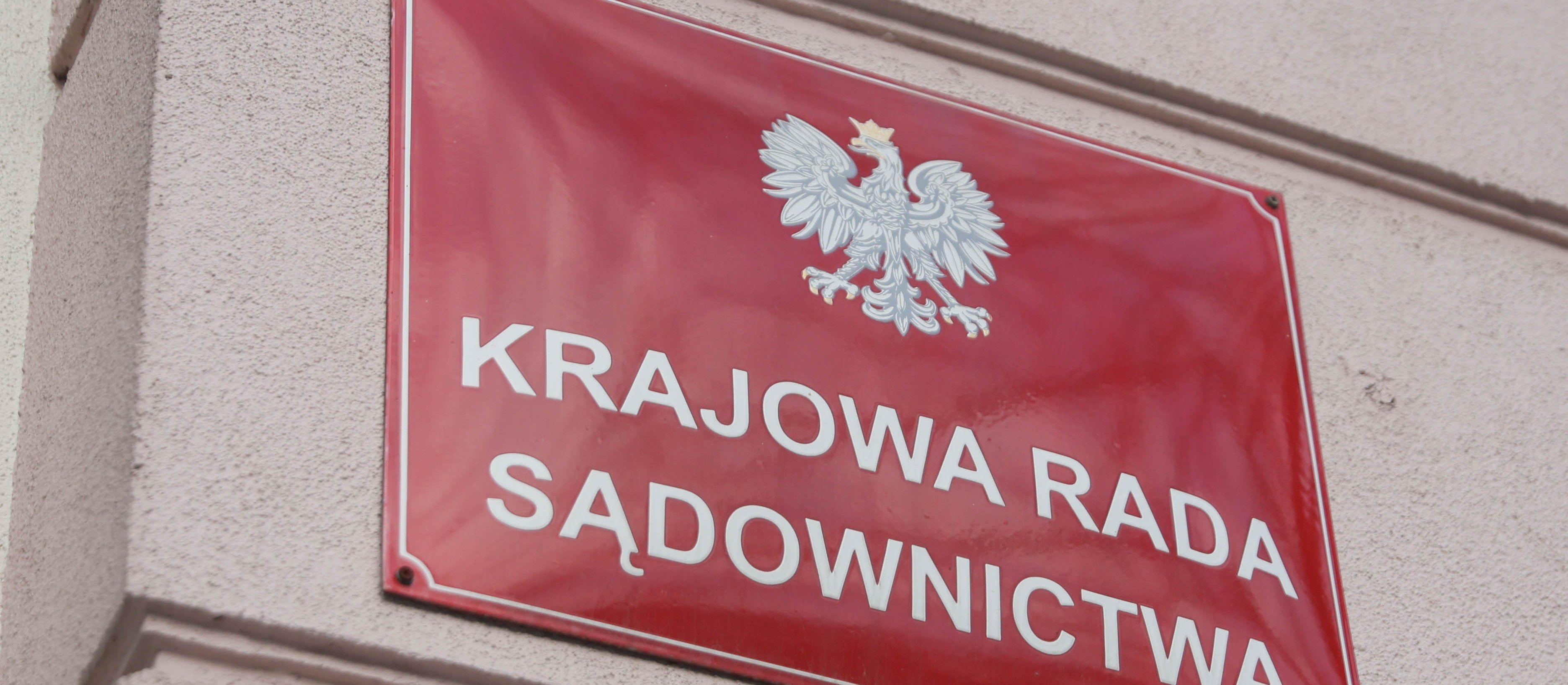 Mateusz Mikowski: Podwójne zaprzeczenie w sprawie KRS