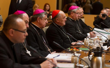 Krzyżak: Biskupi w pułapce rządzących