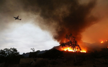 USA: Ponad 100 dużych pożarów lasów