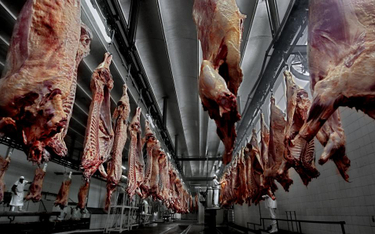 Unia zapomni o argentyńskiej wołowinie