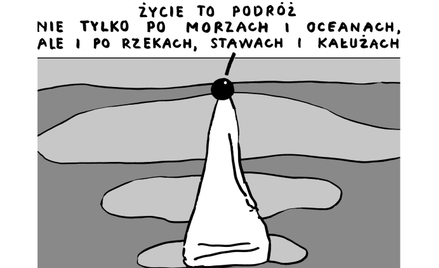 Kataryna: Pijani kierowcy a sprawa polityczna