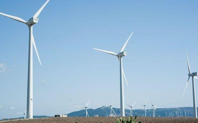 Zdaniem ekspertów rządowy plan dla energii nie wykorzystuje w pełni potencjału energetyki wiatrowej,