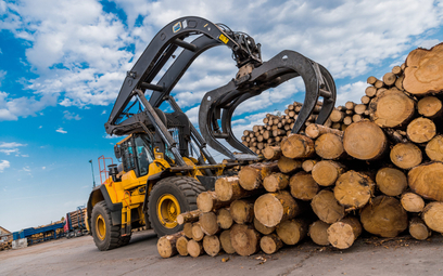 Szybujące ceny drewna demolują drzewny biznes