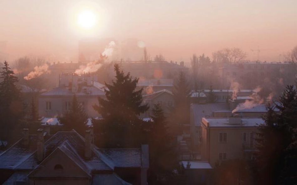 Główną przyczyną dużego zanieczyszczenia powietrza w Polsce jest tzw. niska emisja, czyli zanieczysz