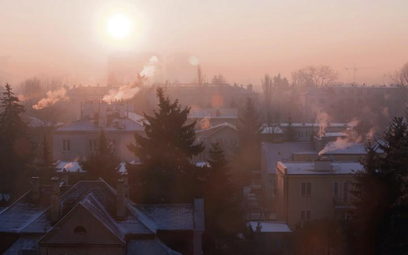 Główną przyczyną dużego zanieczyszczenia powietrza w Polsce jest tzw. niska emisja, czyli zanieczysz