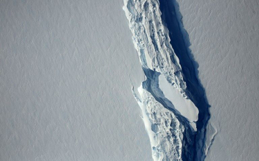 Antarktyda: Góra lodowa jak cztery Walie