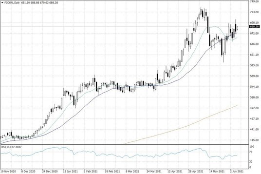 Notowania kukurydzy w USA – dane dzienne