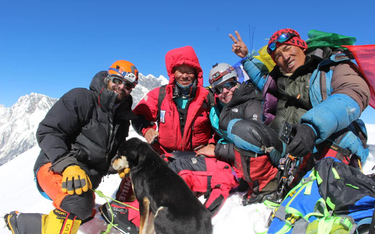 Pies na wysokości 7000 metrów. Zdobył szczyt w Himalajach