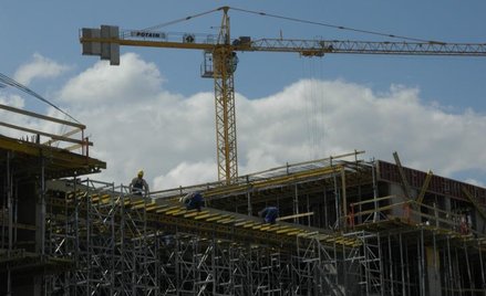 Tegoroczna sprzedaż Żurawi spadnie o 40-45 proc.