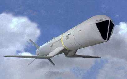 Lotniczy pocisk „powietrze-powierzchnia” Boeing AGM-84 SLAM-ER. Rys./Boeing.