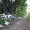 Gminy i nadleśnictwa szukają najnowocześniejszych sposobów, by złapać osoby, które nielegalnie wyrzu