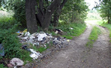 Gminy i nadleśnictwa szukają najnowocześniejszych sposobów, by złapać osoby, które nielegalnie wyrzu