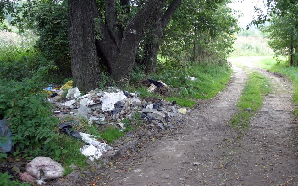 Gminy i nadleśnictwa szukają najnowocześniejszych sposobów, by złapać osoby, które nielegalnie wyrzu