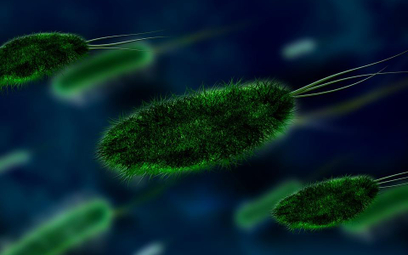 Bakterie kontratakują: Są odporne na antybiotyki