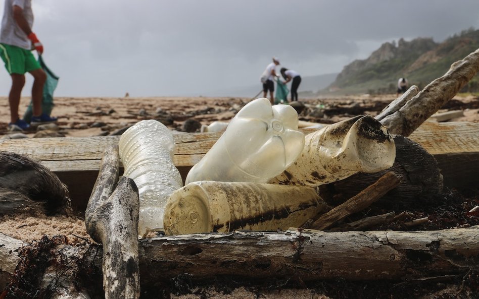 Japończycy stworzyli plastik, którym mogą żywić się ryby. Przełom w ekologii