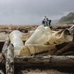 Japończycy stworzyli plastik, którym mogą żywić się ryby. Przełom w ekologii