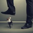 Zwalnianie w trybie dyscyplinarnym nie pozwala na zniewagi
