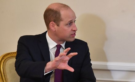 Książę Walii William podczas spotkania z prezydentem Andrzejem Dudą w Pałacu Prezydenckim