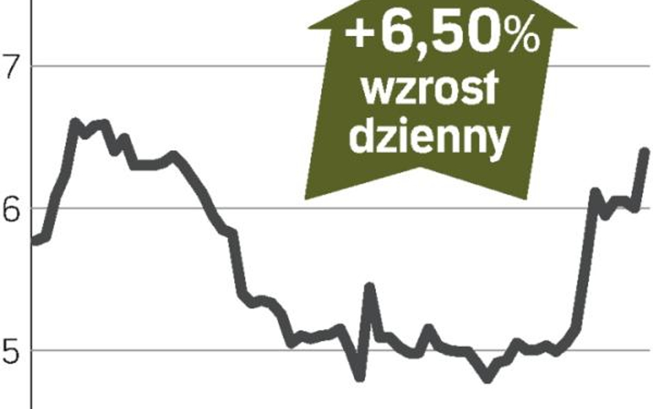 Wiara ING udzieliła się inwestorom