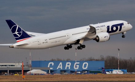 Transport lotniczy cieszy się nieustającą popularnością. Fot. kozmin /Pixabay