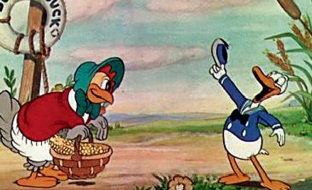 Kaczor Donald zadebiutował w 1934 roku w filmie „Mądra kurka”