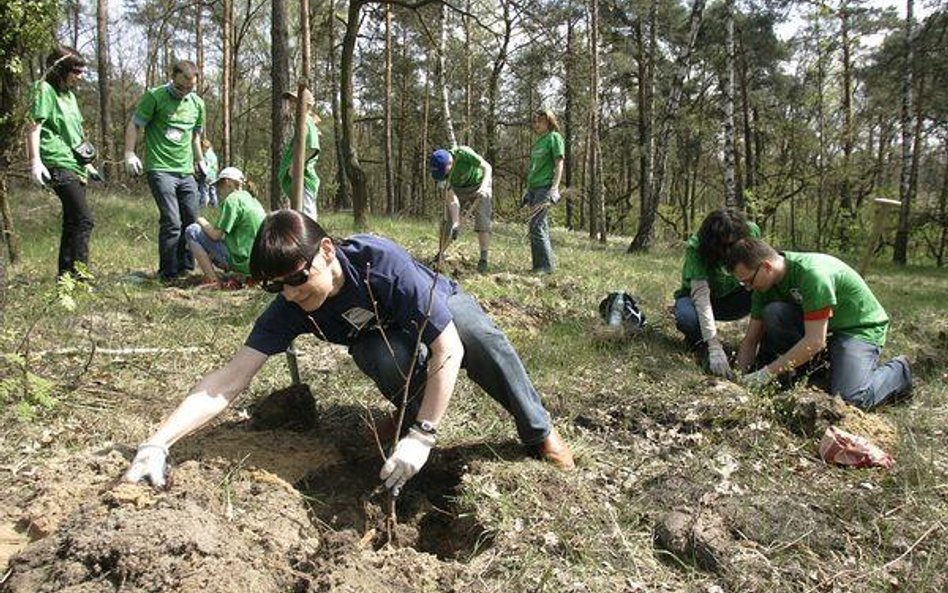 Mniej chętnych do zalesiania pól