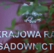 Gdy sędziowska przyzwoitość zawodzi - Tomasz Pietryga o samozawieszeniu się sędziego Jarosława Dudzi