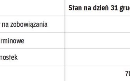 Prezentacja w sprawozdaniu finansowym: