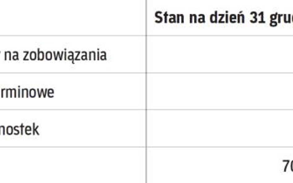 Prezentacja w sprawozdaniu finansowym:
