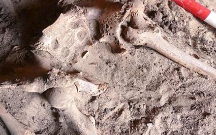 Uszkodzenia są typowe dla przerzutów choroby nowotworowej